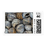Snail shells postage stamp