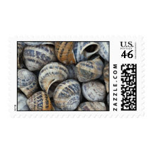 Snail shells postage stamp