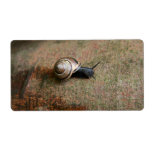 Snail shipping labels