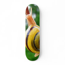 snail skateboards by lenio93 snail skateboards