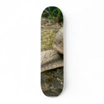 Snail skateboards by lifesphere Snail skateboards