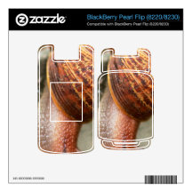 Snail Skin For BlackBerry Pearl