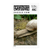 Snail Stamps