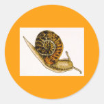 Snail Stickers