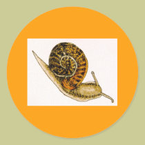 Snail stickers