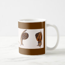 Snail Studies mugs