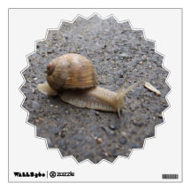 Snail walk room graphic