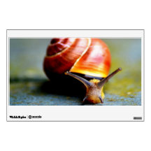 Snail Wall Sticker
