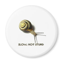 SNAIL WITH CAPTION FROM JUNGLEWALK.COM magnets by junglewalkcom SNAIL WITH CAPTION FROM JUNGLEWALK.COM magnets