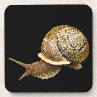 Snail with Shell Drink Coaster
