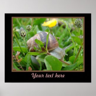 Snail Poster Template
