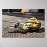 Snailephant Print