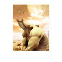snailmaster posters