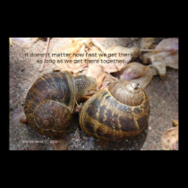 Snails in Love posters