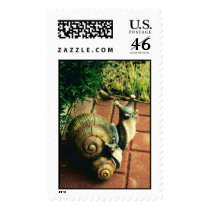Snails postage by creationsbyGod Snails postage