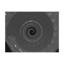 snailshell postcards by daas_1 snailshell postcards
