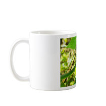 Snake 100_5298 mugs