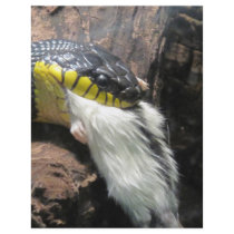 Snake and Mouse Flyer Design