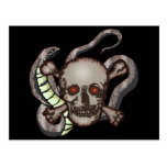 Snake and Skull Biker T shirts Gifts Post Cards