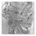 snake and skull posters by BOBMOYN snake and skull posters