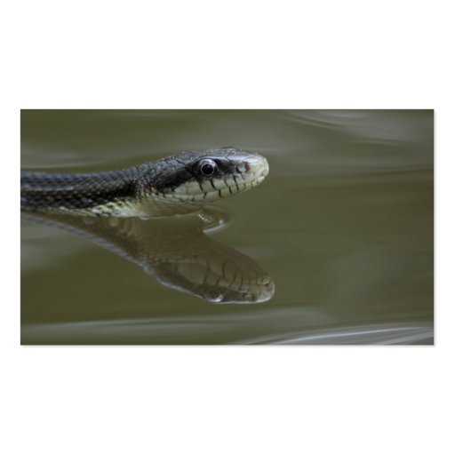 snake business card template (back side)