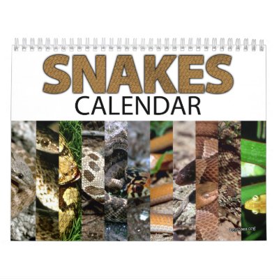 Snake Calendar | Zazzle
