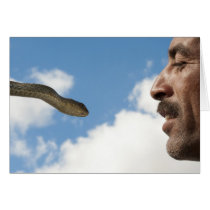 Snake Charmer cards by pshaw_photo Snake Charmer cards