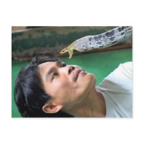 Snake Charmer Thailand postcards by rainbowdharma Snake Charmer Thailand postcards