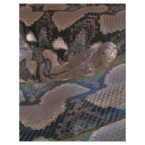 Snake Closeup Flyer Design