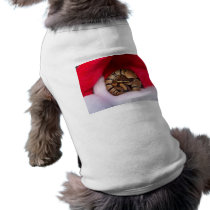 Snake curled up in Santa hat, ball python Dog Shirt