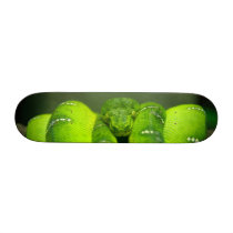Snake Eyes Skate Decks