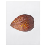 Snake fruit flyer design