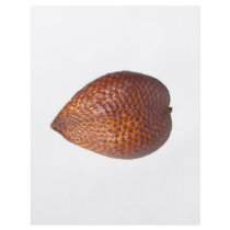 Snake fruit flyer design