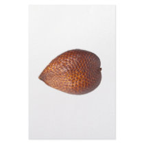Snake fruit stationery paper