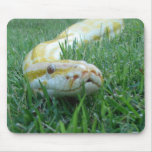 Snake in the Grass mousepads