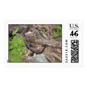 Snake in the Grass postage by MrBillyB Snake in the Grass postage