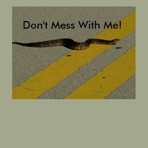 Snake in the Road shirt