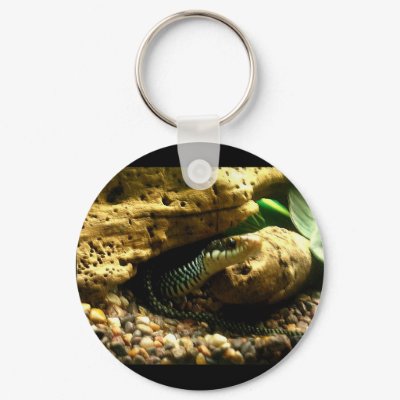 Snake Keychain by pattyrodz