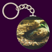 Snake keychains
