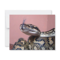 Snake Kiss invitations by sharonsphotography Snake Kiss invitations