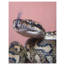 Snake Kiss letterhead by sharonsphotography Snake Kiss letterhead