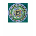 Snake mandala t-shirts