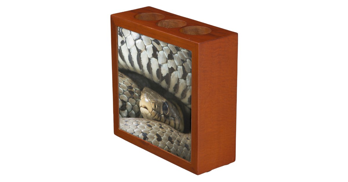 Snake Pencil Holder Zazzle