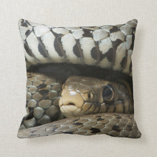 snake pillow pet