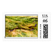 snake postage by mark59956 snake postage