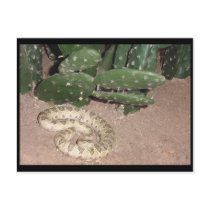 snake postcard by sumiko snake postcard