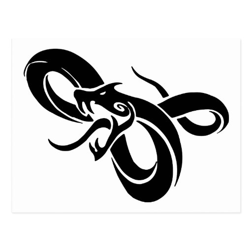 Snake Postcards