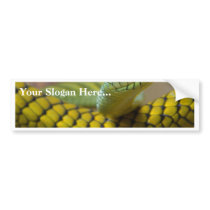 Snake Reptile bumper stickers