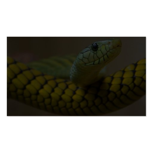 Snake Reptile Business Card Templates (back side)