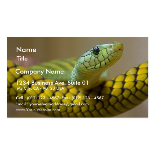 Snake Reptile Business Card Templates (front side)